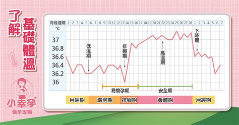 著床降溫圖|懷孕基礎體溫詳解! 獨家資料! (2024年更新)